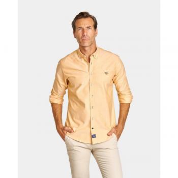 Camisa de hombre oxford regular liso amarillo
