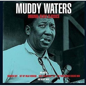 Muddy Waters Original Blues Classics vinyl