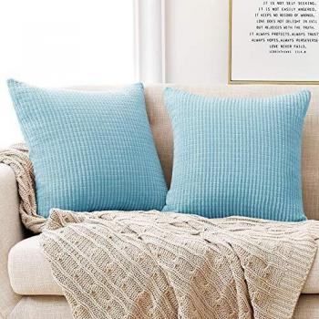 Deconovo Funda para cojin Prodector del Mueble Decorativa Cuadrada 2 Piezas 60x60cm Azul Claro