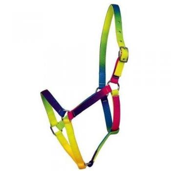 Cabezada Multicolor Neon para Ponys Shetland Waldhausen Arc-en-ciel