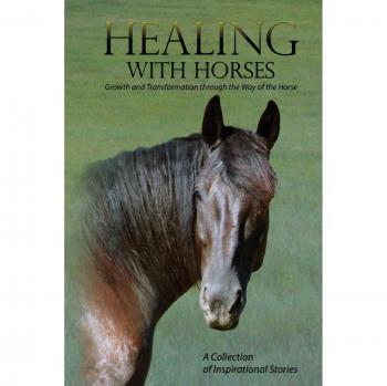 Equine Healing: Growth and Transformation Through the Way of the Horse by Feel Alumni Association