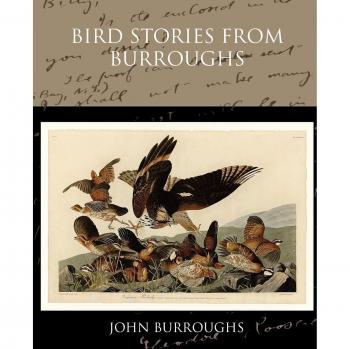 Cuentos de Aves de Burroughs - Edición en Tapa Blanda