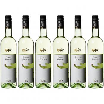 Vino Blanco Pinot Grigio del Veneto Käfer 2023 - Seco - 75 cl