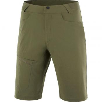 Salomon - Short de hombre Wayfarer Salomon