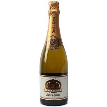 Juvé & Camps | Cava Reserva Brut Milesime | 1 Botella de 75 cl | Chardonnay