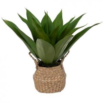 Agave artificial en maceta de caña - H48 cm - Atmosphera Créateur D'intérieur