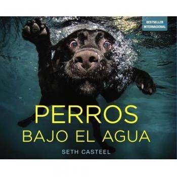 Perros bajo el agua
