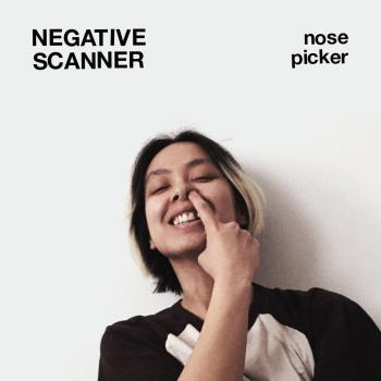 Vinyl Nose Picker Tool