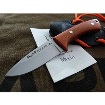Muela Cuchillo Peccary-8.O