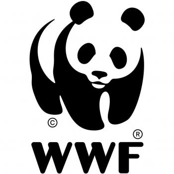 Juego de Ajedrez WWF - Cuenca del Congo, Juego de Mesa en Empaque Origami