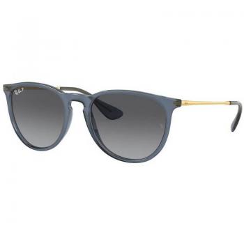 Ray-Ban Erika RB4171 6592T3 Sunglasses