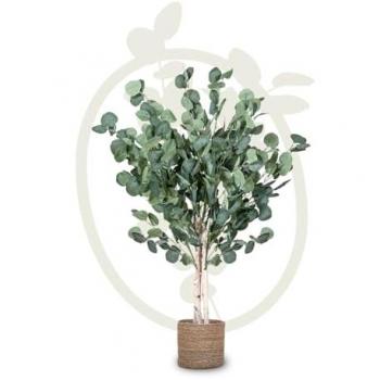 Planta Artificial Eucalipto MAIA SHOP - Decoración Realista para Hogar y Oficina - Disponible en 105 cm, 150 cm y 180 cm