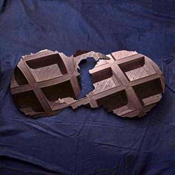 Dirty projectors vinilo