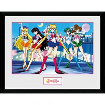 Imagen Enmarcada Multicolor del Grupo Sailor Moon (30x40 cm)
