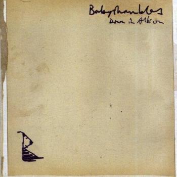 down in albion - Babyshambles