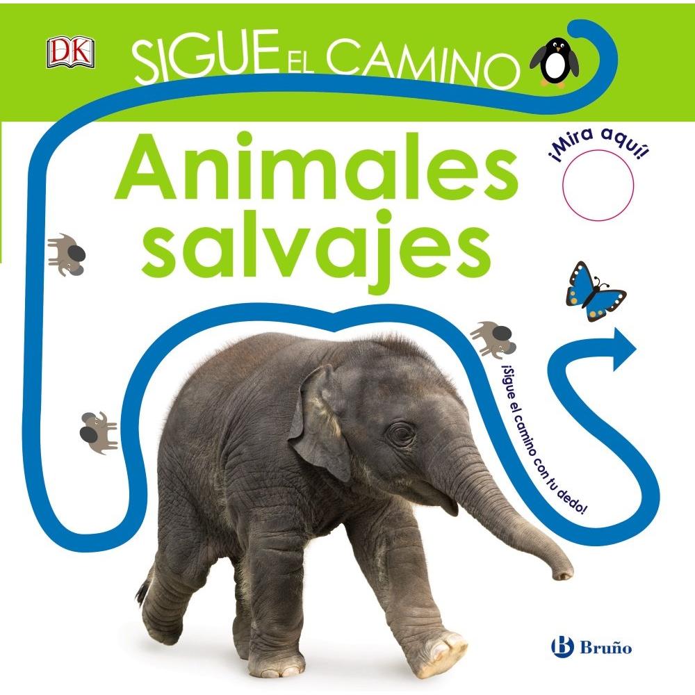 Imagen Principal