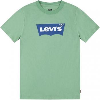 Camiseta Levi's Batwing Meadow Niño Aguamarina