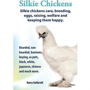 . Silkie Chickens. Silkie Chickens Care, Breeding, Eggs, Raising, Welfare and Keeping Them Happy, Bearded, Non Bearded, Bantoms, Buying, as Pets, ... Black, White, Japanese, Chinese and Much More