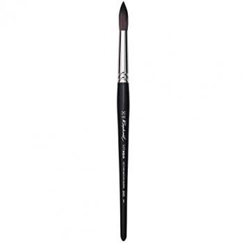 Raphael Soft Aqua Brushes - Rounds - Size 20 by Raphael Brush