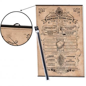 Pack colgador y póster de Harry Potter 2 - 91.5 x 61 cm