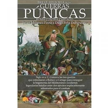 Breve historia de las Guerras Púnicas