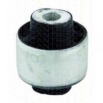 Triscan 8500 25824 Suspensión, Brazo oscilante
