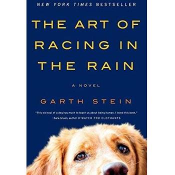 the-art-of-racing-in-the-rain