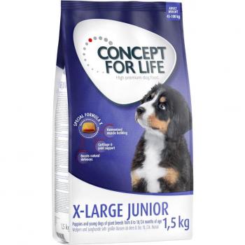 Concept for Life X-Large Junior Dry Dog Food - 1.5 kg Bag