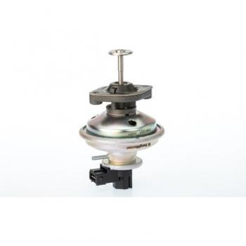 Válvula EGR BorgWarner Wahler 710970D