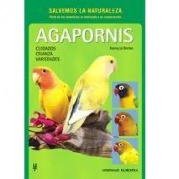 Agapornis
