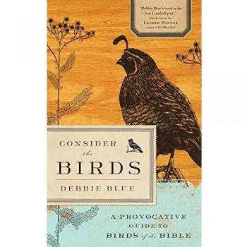 Consider the Birds: A Provocative Guide to Biblical Birds - Paperback Edition