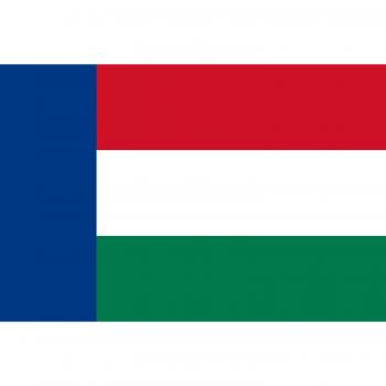 Nieuwe Republiek | Die Nieuwe Vryheid Republiek Bandera | bandera paisaje | 0.06qm | 20x30cm para Diplomat-Flags Banderas de Coche