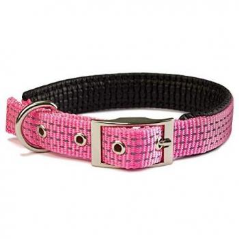 Collar nylon liso rosa - 1,5 x 38 cm