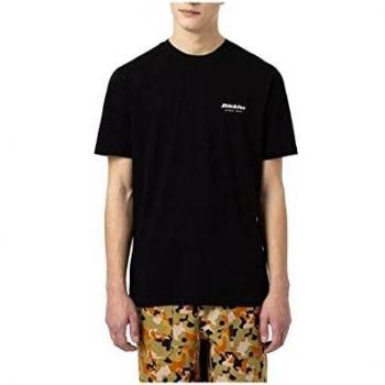 Dickies Camiseta Artondale Box