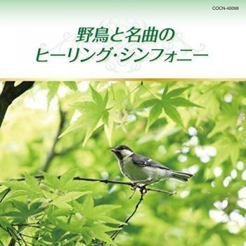 Healing Symphony: Original Soundtrack (Import)