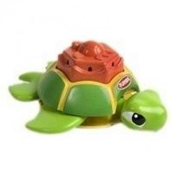 Tortuga Toby
