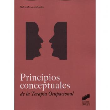 Principios conceptuales en Terapia Ocupacional: 12