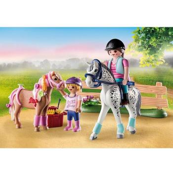 Playmobil Starter Pack Horse Grooming Set