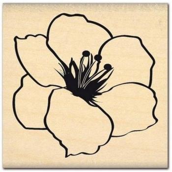 Florilèges Diseño FE 111031 Tampon Scrapbooking Flor Trópicos Beige 6 x 6 x 2,5 cm