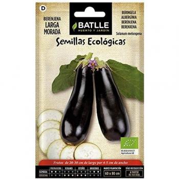 Berenjena larga Morada - ECO