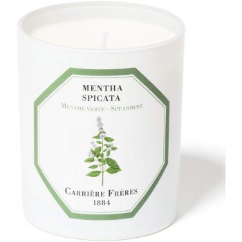 Carrière Frères Spearmint Scented Candle - 185g (6.5 oz)