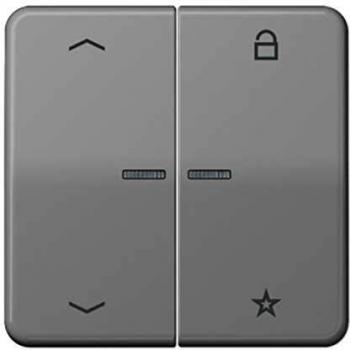 Tecla Jung Universal Personalizable con Flechas Gris y Doble Plástico Brillante