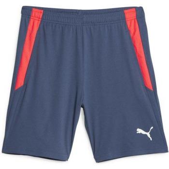 Puma Pantalones Deportivos Team Liga Sh