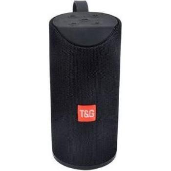 Altavoz Portátil Inalámbrico T&G WS-900-43 Bluetooth Radio FM USB Negro