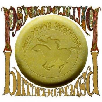 Psychedelic Experience Capsule