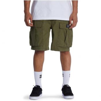 Bermuda de hombre Tundra DC Shoes
