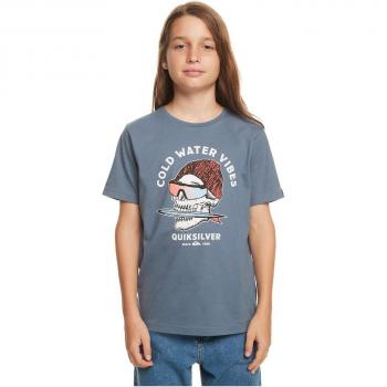Quiksilver - Camiseta de niños Qs Skull Azul 16A