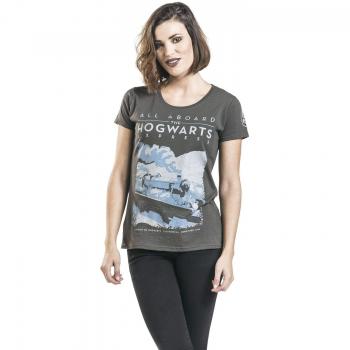 Harry Potter Hogwarts Express Camiseta Mujer Gris/Melé M