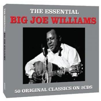 The Essential 2cd - Big Joe Williams