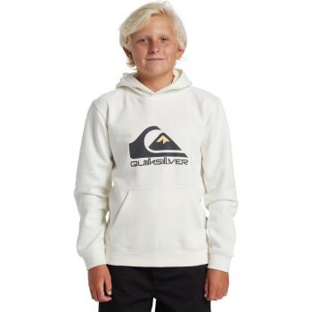 Quiksilver Sudadera Con Capucha Big Logo